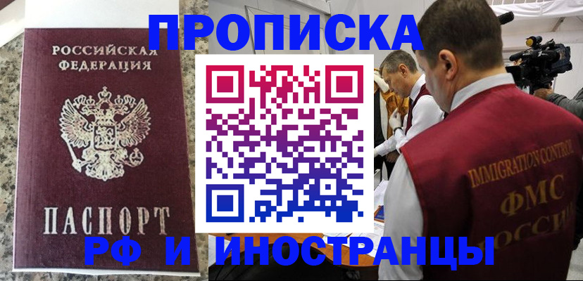 прописка гарантия в Камышине